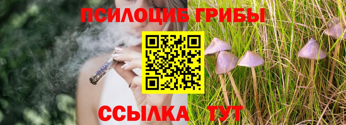 Галлюциногенные грибы Psilocybine cubensis  Вход с VPN  Ишим 